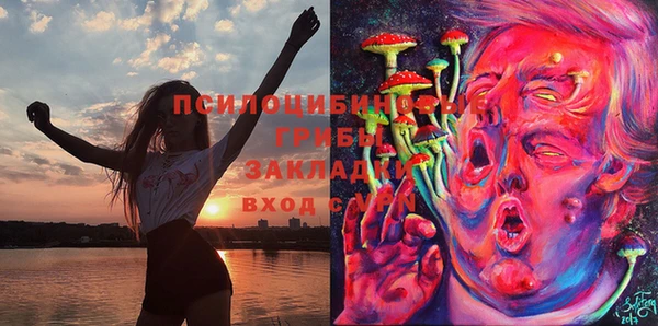метадон Инсар