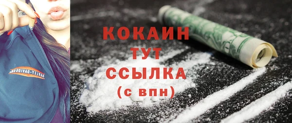 ешки Инта