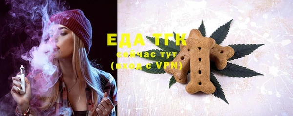 ешки Инта