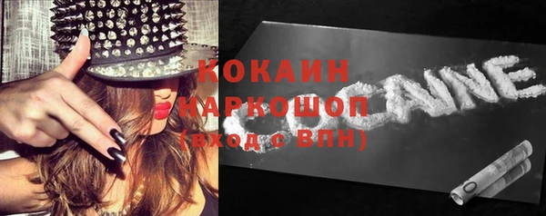 ешки Инта