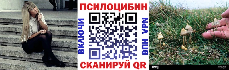 Галлюциногенные грибы ЛСД  Купить где  Себеж 