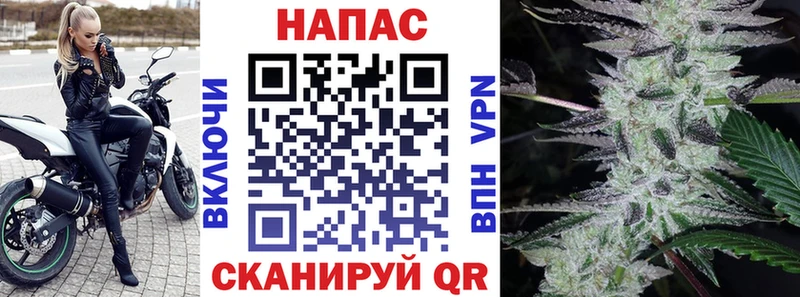 Купить где  Себеж  Марихуана конопля 